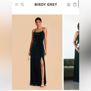 Birdy grey ash velvet bridesmaid dress